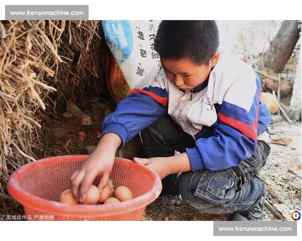 3 岁弟弟玩耍时推哥哥落水，幸水沟浅未受伤