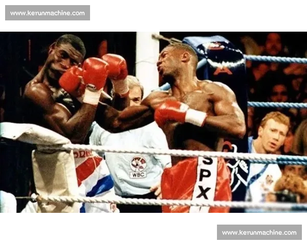 富里vs巅峰对决重量级拳坛荣耀之战全景解析历史意义与未来走向深度前瞻全面复盘